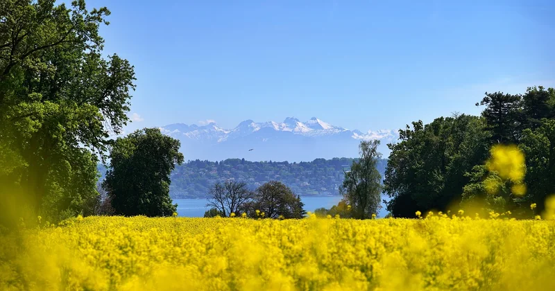 Le Tour du Mont-Blanc est-il encore pertinent en 2026 ?
