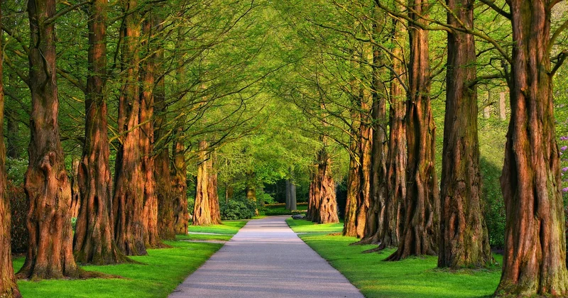 Comment choisir votre prochain parc méconnu : ma méthode en 5 points